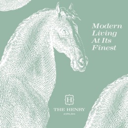 a horse on a turquoise background