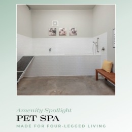 a pet spa